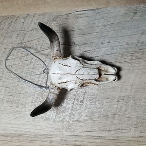 Steer Skull / Long Horn Skull Ornament